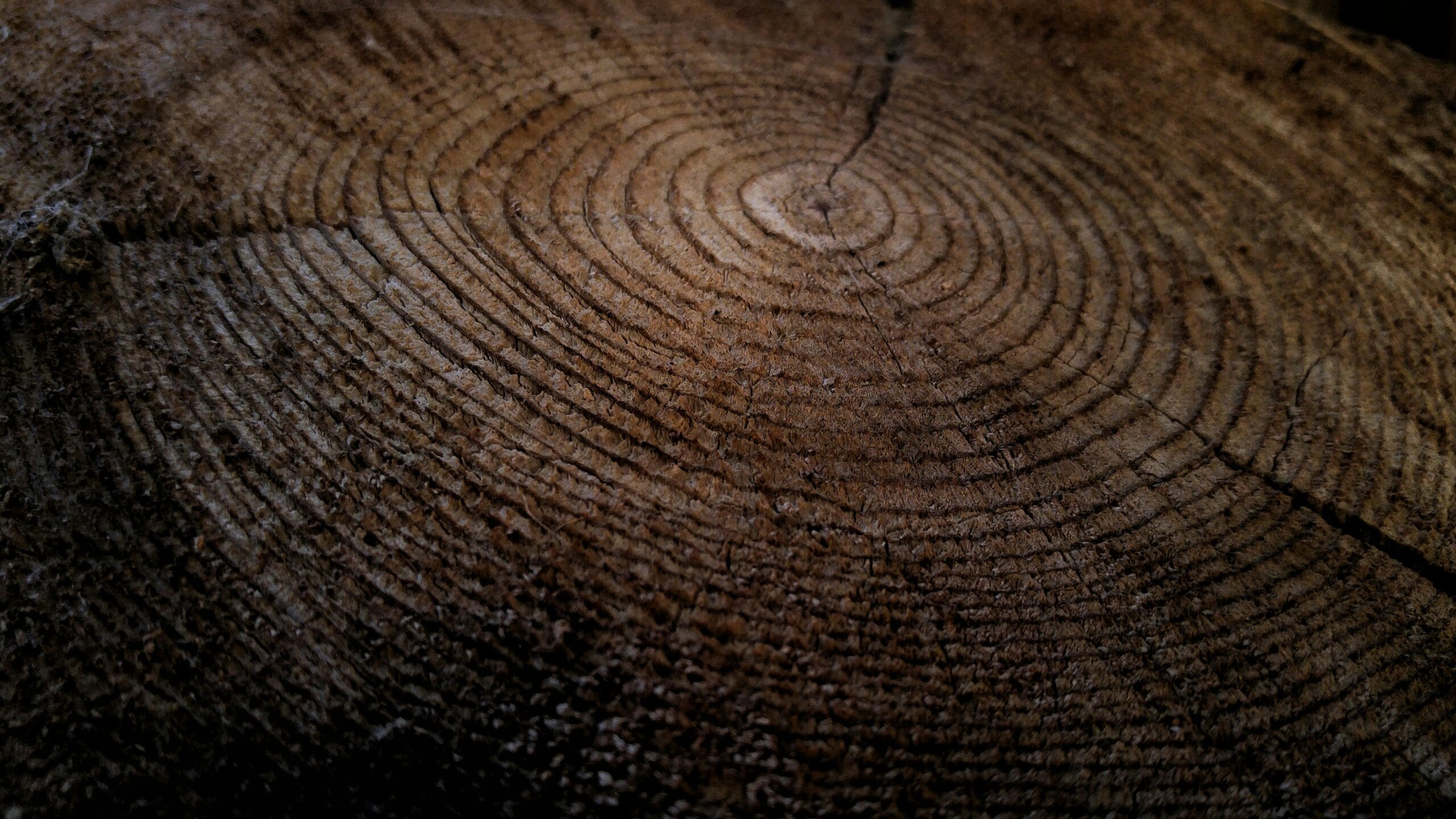 Environmental Impact of Reclaimed vs New Teak: The Data