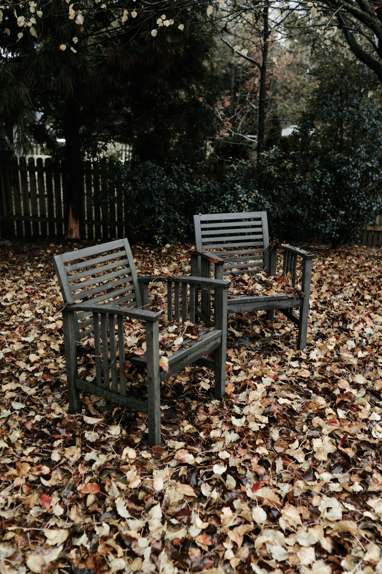 Why Reclaimed Teak Outperforms Plantation Teak Outdoors